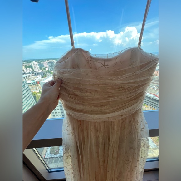 Joanna August mesh star sparkle midi dress - Picture 6 of 10